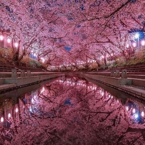 Meet your Posher, Nada